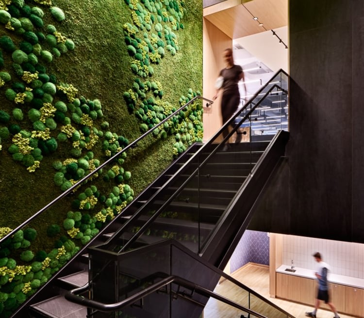 People use a modern staircase beside a large green moss wall in a sleek office environment.