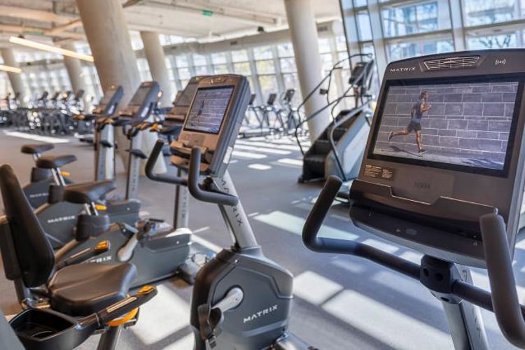 Row of stationary bikes with digital screens in a bright, modern gym with floor-to-ceiling windows.