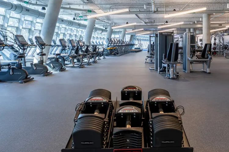 Spacious gym with rows of cardio machines, strength equipment, and adjustable dumbbells in a well-lit area.