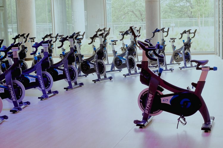 Indoor cycling studio with multiple Stages stationary bikes in a sunlit room with floor-to-ceiling windows.