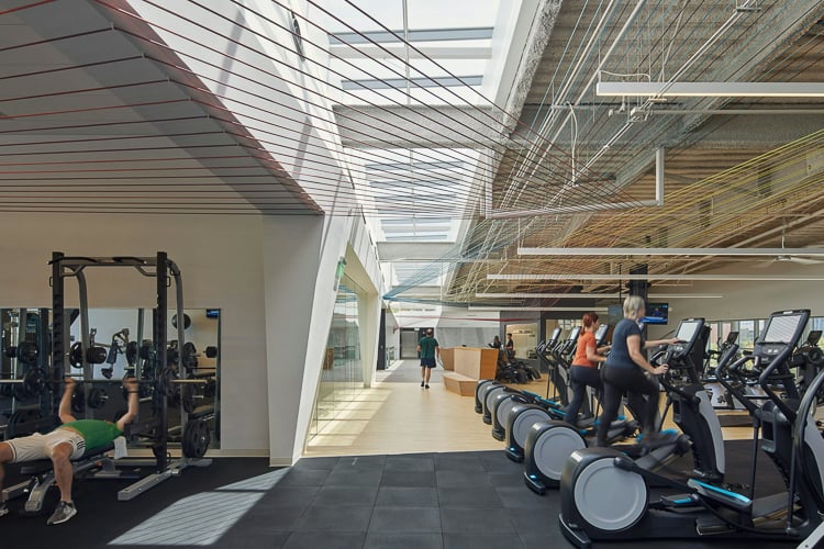 People using cardio and strength equipment in a spacious, sunlit fitness center with modern design.