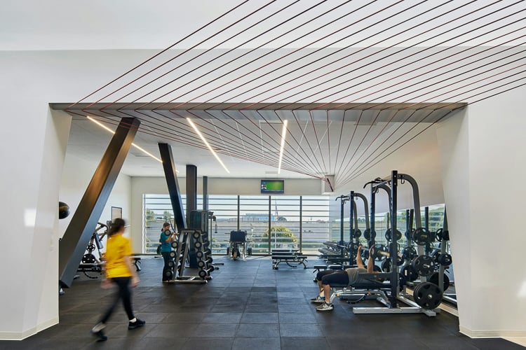 People using weightlifting equipment in a bright, modern gym with large windows and unique ceiling design.