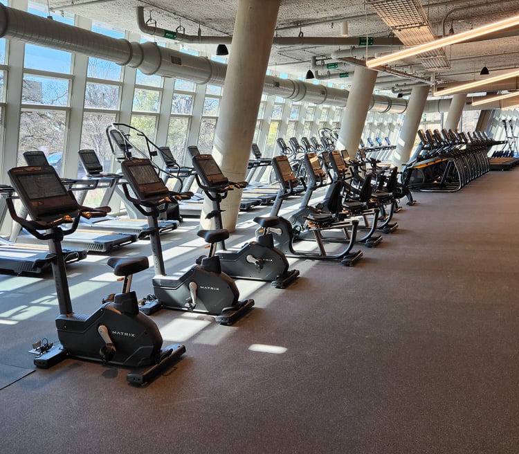 Cardio zone with rows of bikes, ellipticals, and treadmills in a well-lit gym with floor-to-ceiling windows.