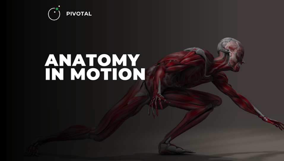 Anatomy in Motion by Pivotal-1